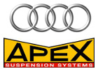 audi A3 8V verlagingsveren apex